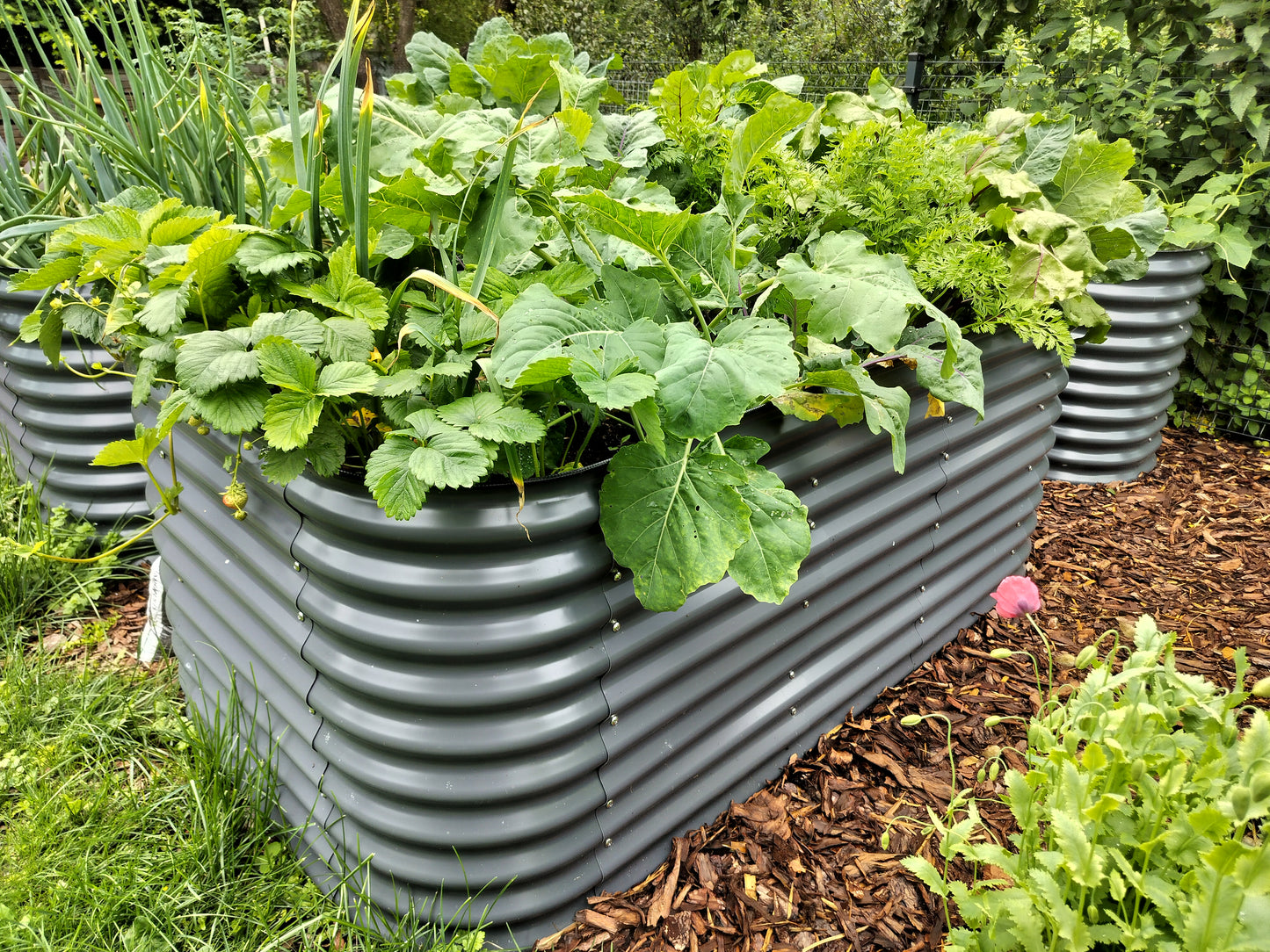 Raised garden bed with green plants in a garden setting