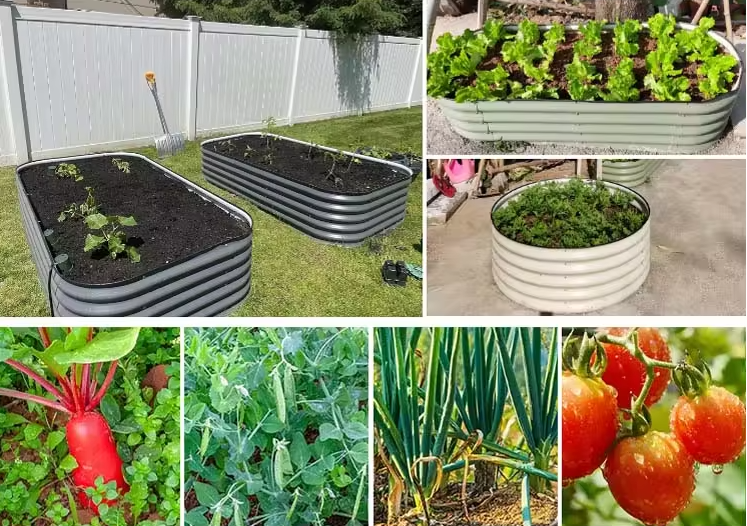 Modulaarne kõrgendatud peenrakast (3in1) S tumehall