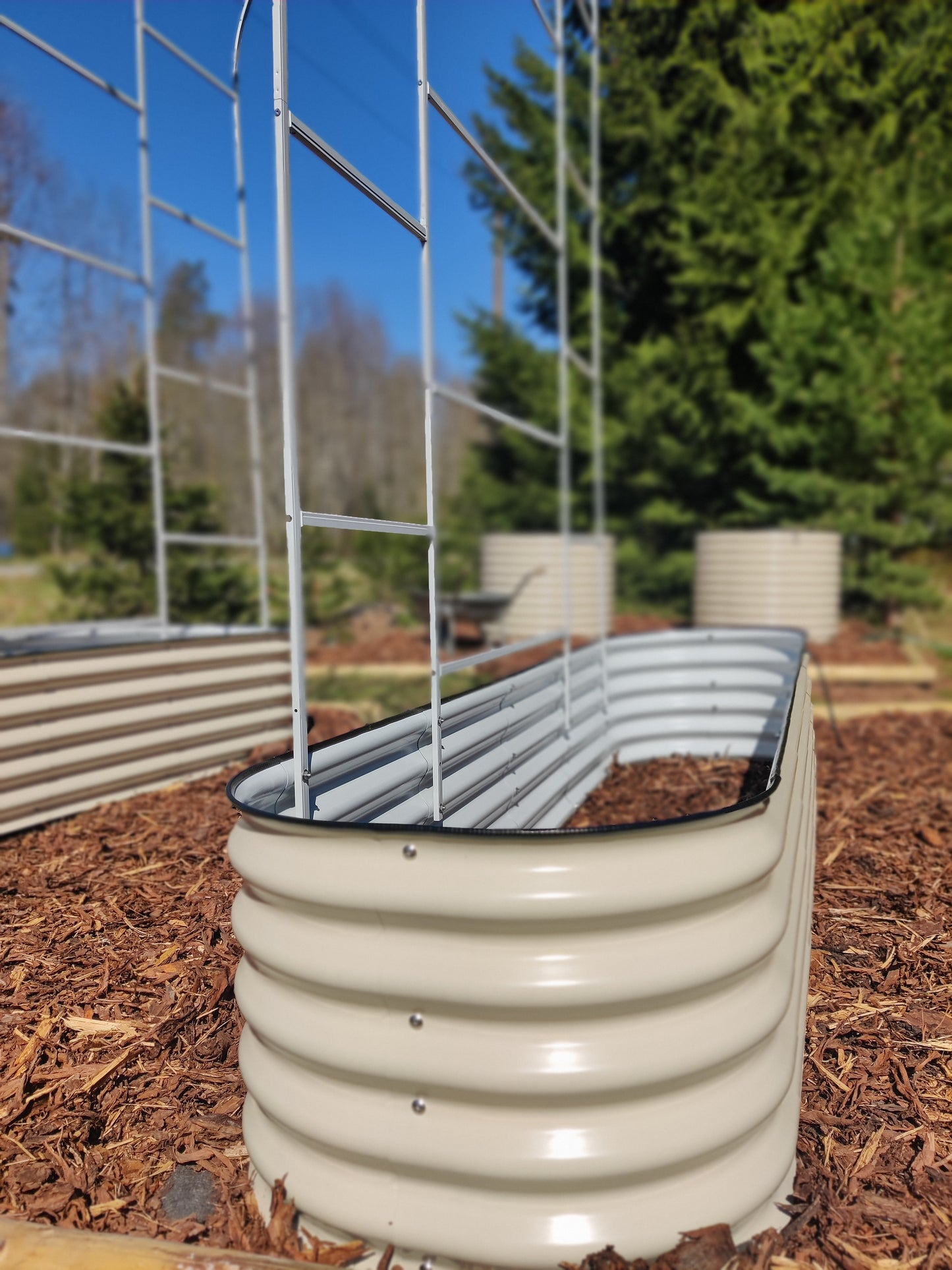 Peenrakastide taimekaar XL