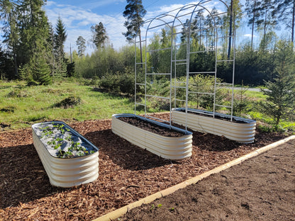 Peenrakastide taimekaar XL