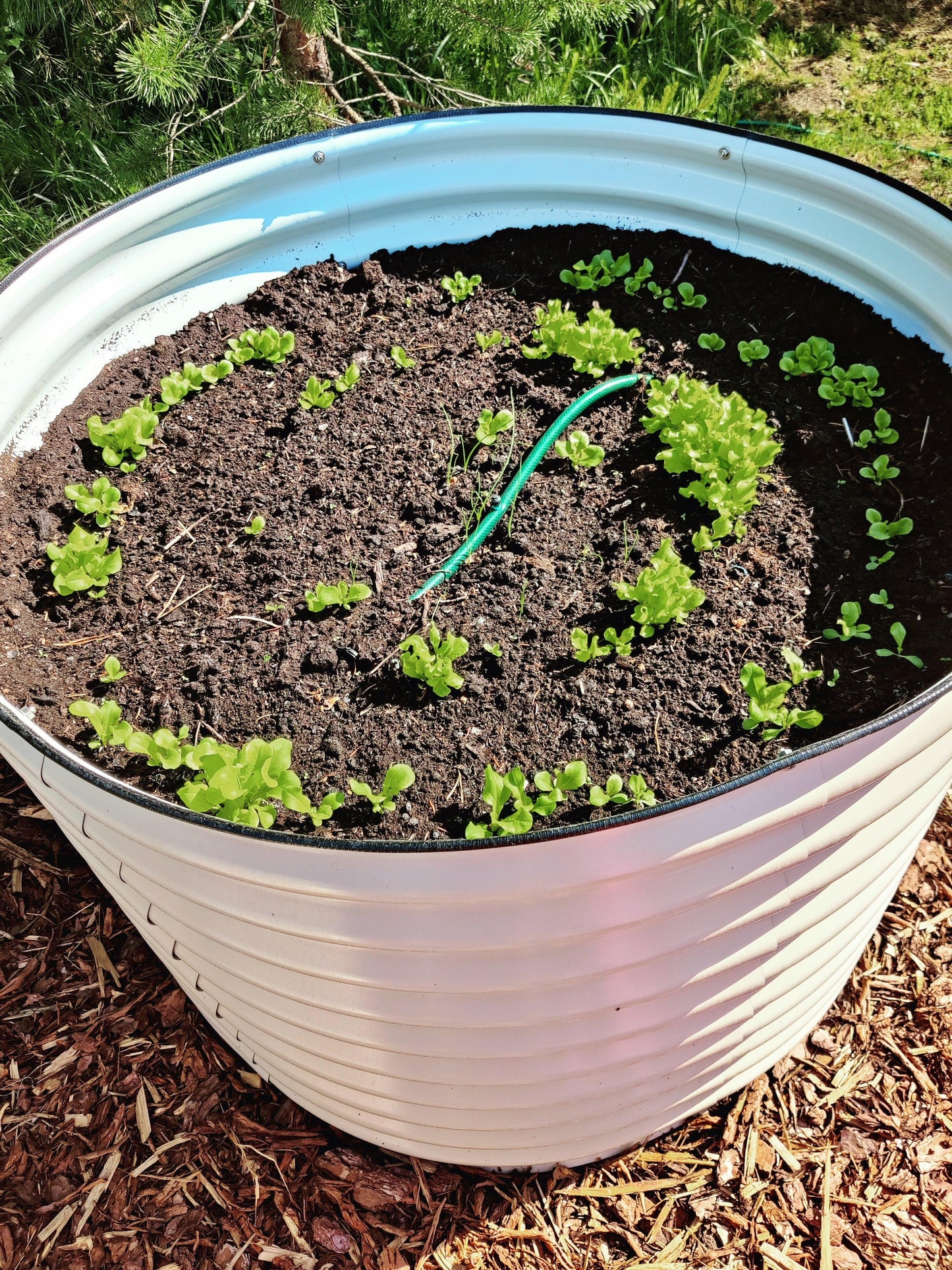 Round raised garden bed L white - GroVegz