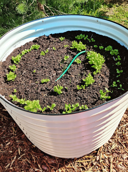 Round raised garden bed L white - GroVegz