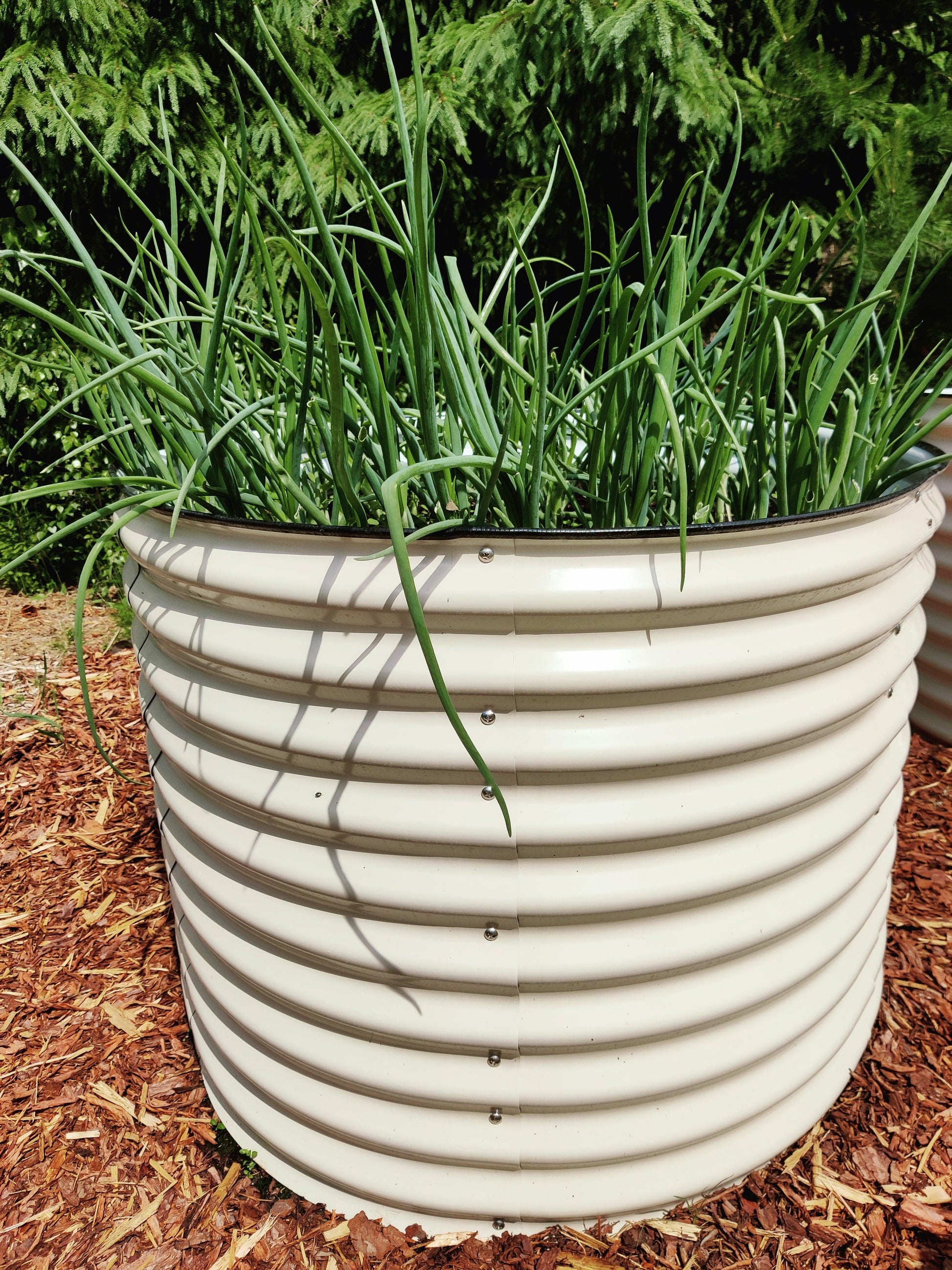 Round raised garden bed L white - GroVegz