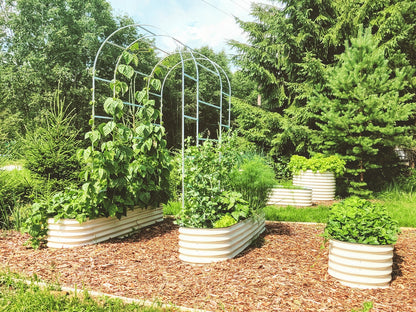 Peenrakastide taimekaar XL